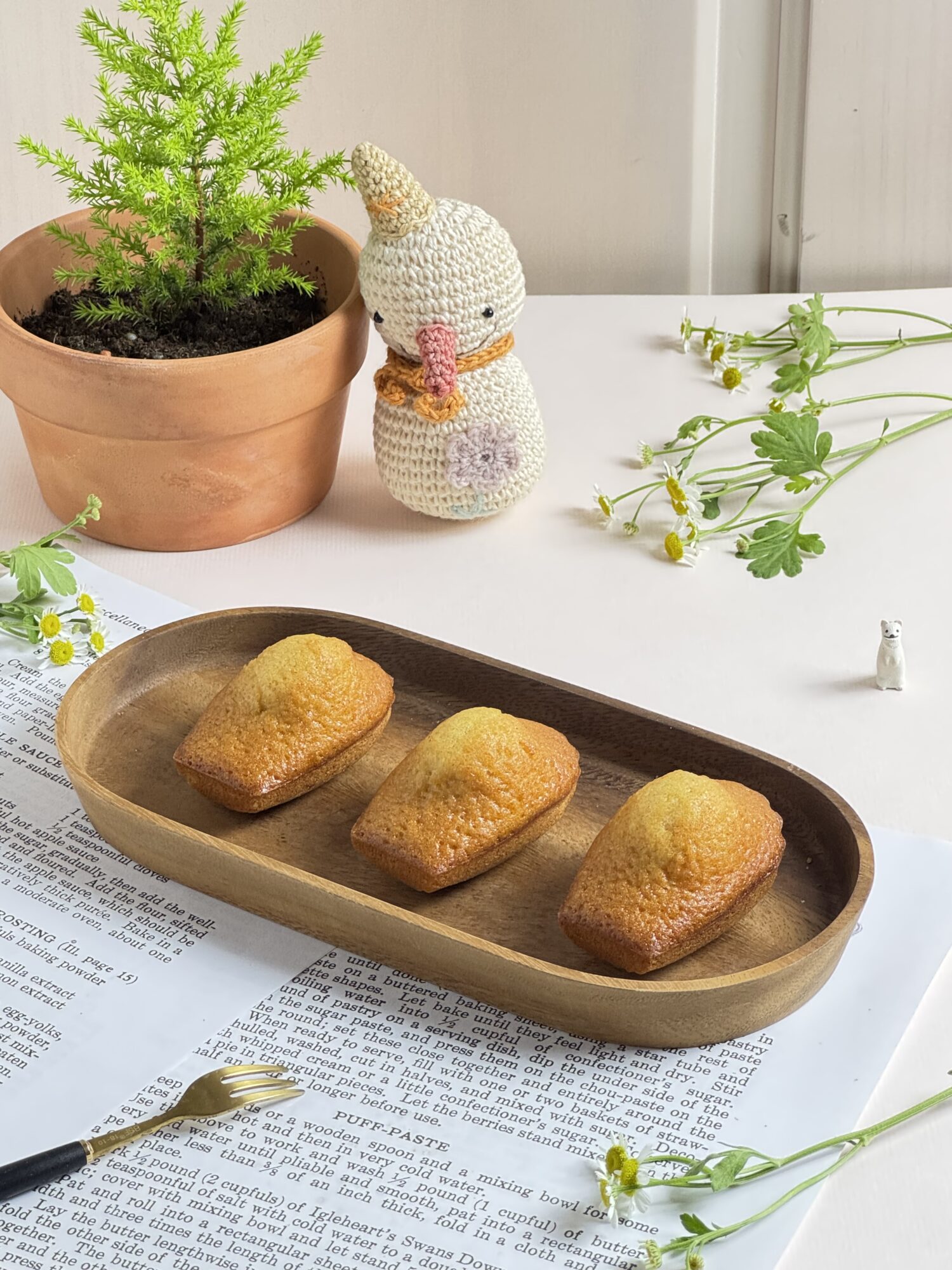 蜂蜜瑪德蓮
